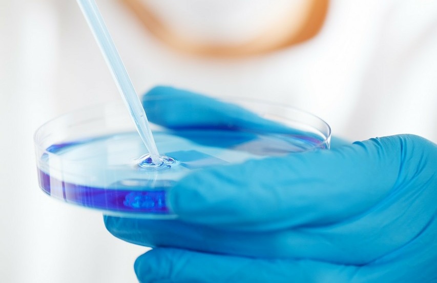 18 maggio - Test in vitro nel settore cosmetico e dei dispositivi medici