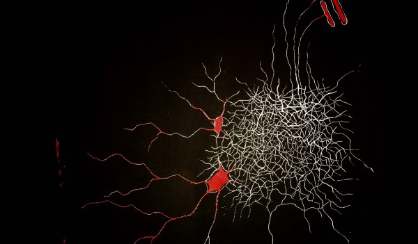 10 marzo - Neuroni a Specchio: Passato, Presente e Futuro