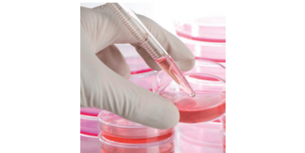 9 aprile - Cellule staminali: le terapie cellulari nella medicina rigenerativa