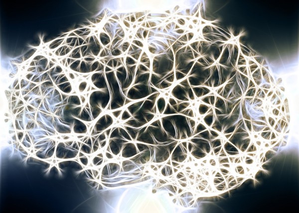 17 novembre – Physics in the brain