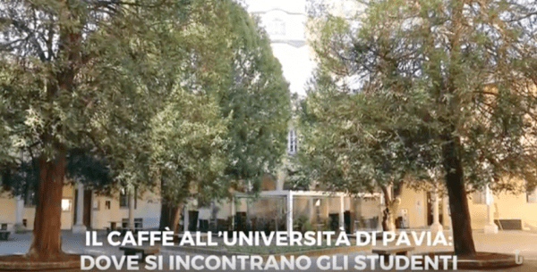 Il Caffè all'Università di Pavia: dove si incontrano gli studenti (Video)