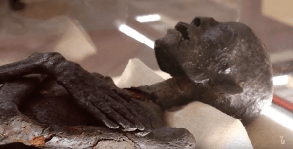 Nuova vita per la mummia egizia dell'Università di Pavia (Video)