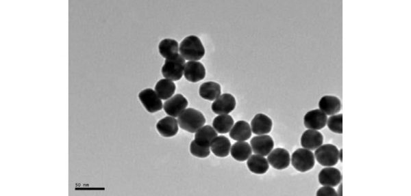 30 ottobre – Strumenti nanobiotecnologici per la ricerca e l’innovazione in nanomedicina e medicina rigenerativa