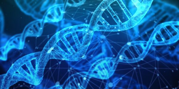 Genetica: Nextclinics acquisisce Microgenomics, spin-off UniPV