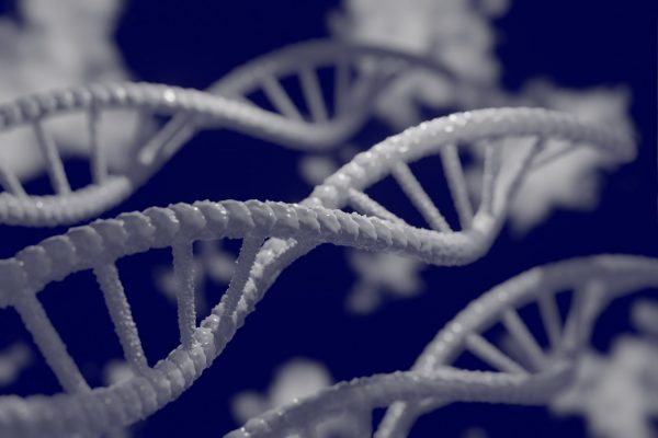 Un nuovo determinante genetico associato alla bassa statura dell'uomo identificato da ricercatori italiani