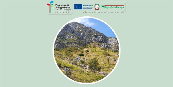 20 novembre - Il quadro conoscitivo della biodiversità in Emilia Romagna