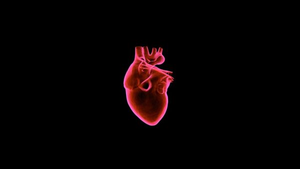 19 maggio - Approfondimenti di cardiologia