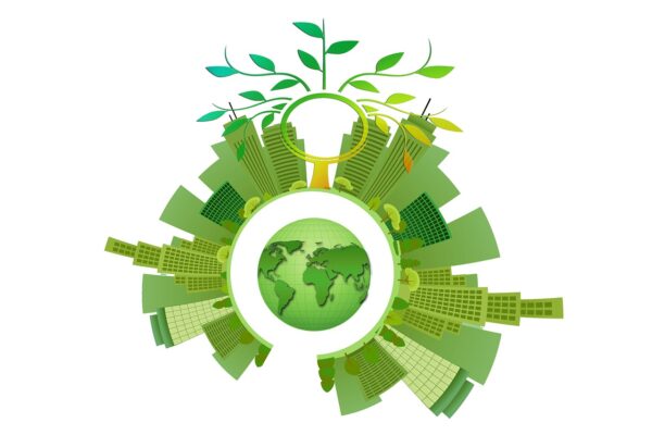 1 giugno - Latecomer development in the global green economy
