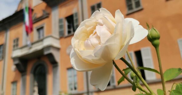Dal 4/09 - Settembre all'Orto Botanico dell'Università di Pavia: orario continuato e nuovi eventi