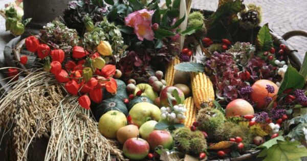 11 novembre - Cibo e Territorio: il ruolo delle filiere agricole corte nello sviluppo locale