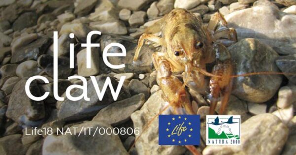 24 settembre - Progetto "Life Claw" per la conservazione del gambero di fiume italiano partecipa alla "Notte dei ricercatori"