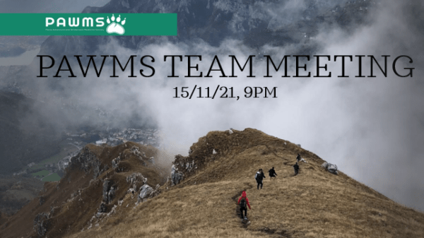 15 novembre - Team Meeting PAWMS