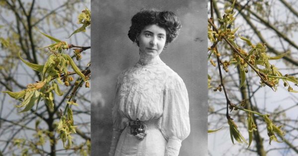 11 febbraio - Un albero per Eva Mameli: l'Università di Pavia festeggia il contributo delle donne nella scienza