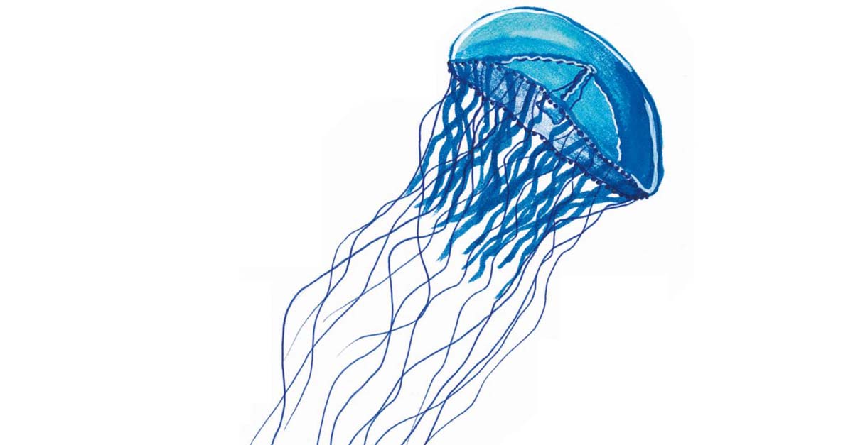 Dal 23 giugno al 25 settembre - Mostra ＂Il giardino delle meduse＂