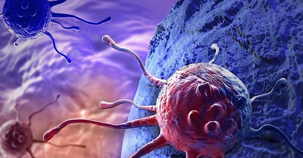25 maggio - Biologia del Cancro: Drug design and Cancer
