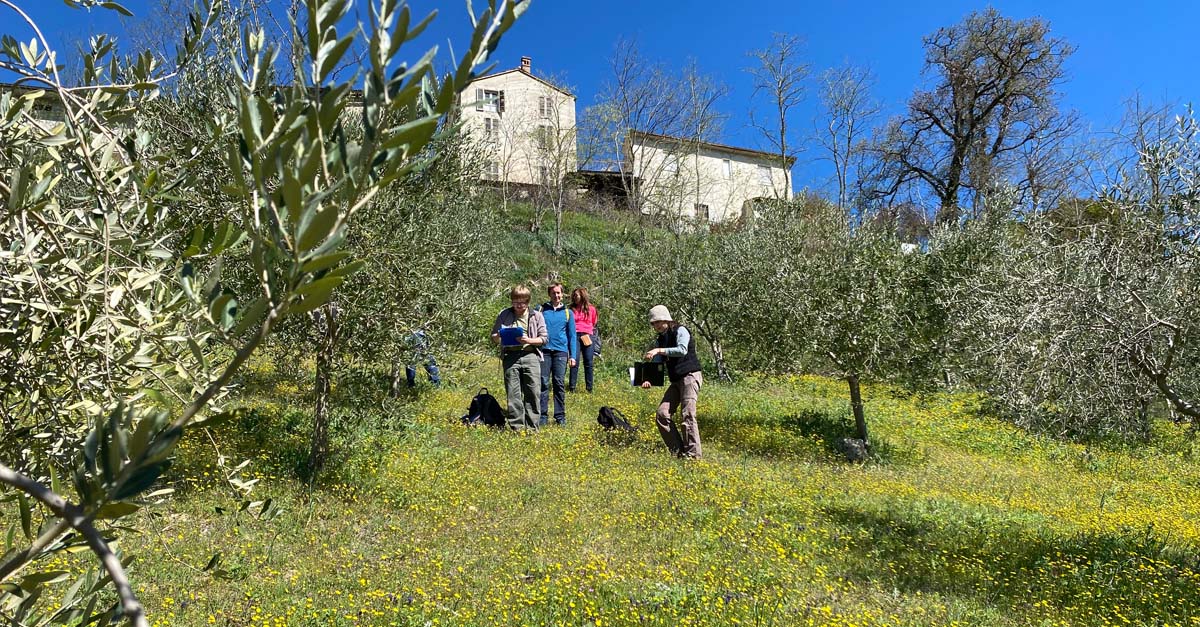 16 e 17 giugno - ＂OLIO＂. Per uno sviluppo dell'olivicoltura in Oltrepò pavese