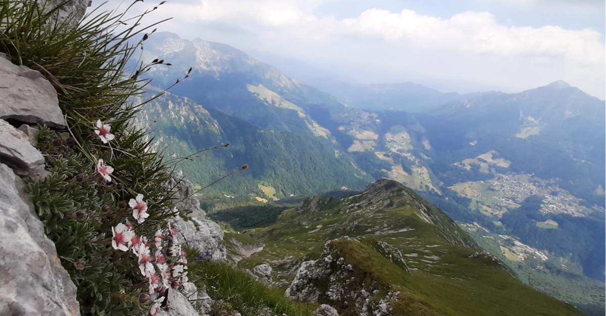 9 giugno - 20 anni di monitoraggio del cambiamento climatico sulle montagne italiane
